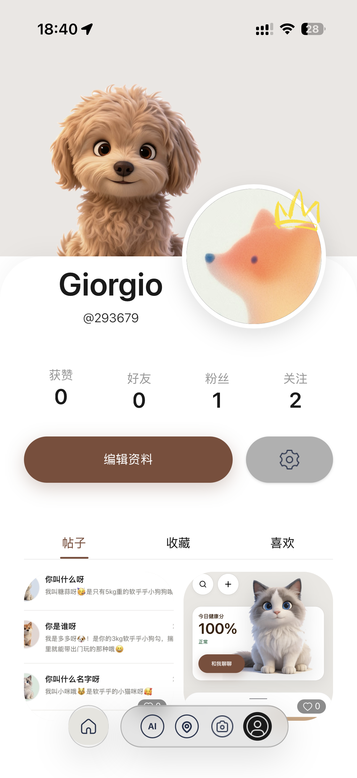 宠物档案